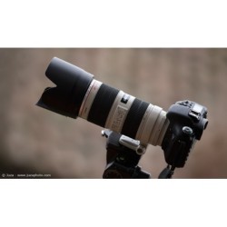 Canon EF 70-200mm F2.8L IS II USM - Location - Soscine