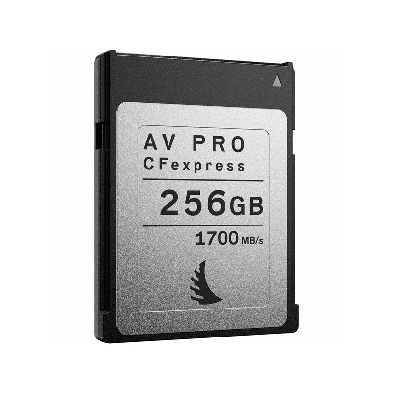 CFexpress Type B 256Go - Location - Soscine