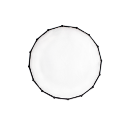 NanLite Para 120 Softbox (Dôme pour COB / FORZA) - Location - Soscine